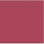 Serviete 33x33 cm 2-sl bordo 50 kos