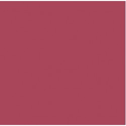 Serviete 33x33 cm 2-sl bordo 50 kos