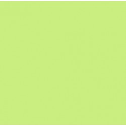 Serviete 33x33 cm 2-sl limeta 50 kos