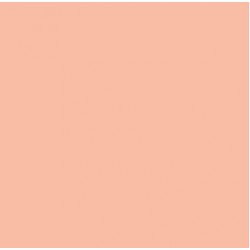 Tekač Airlaid 40cm x 24m marelica