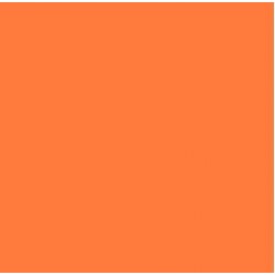 Serviete 33x33 cm 2-sl oranž 50 kos