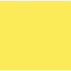 Serviete 33x33 cm 2-sl rumene 50 kos